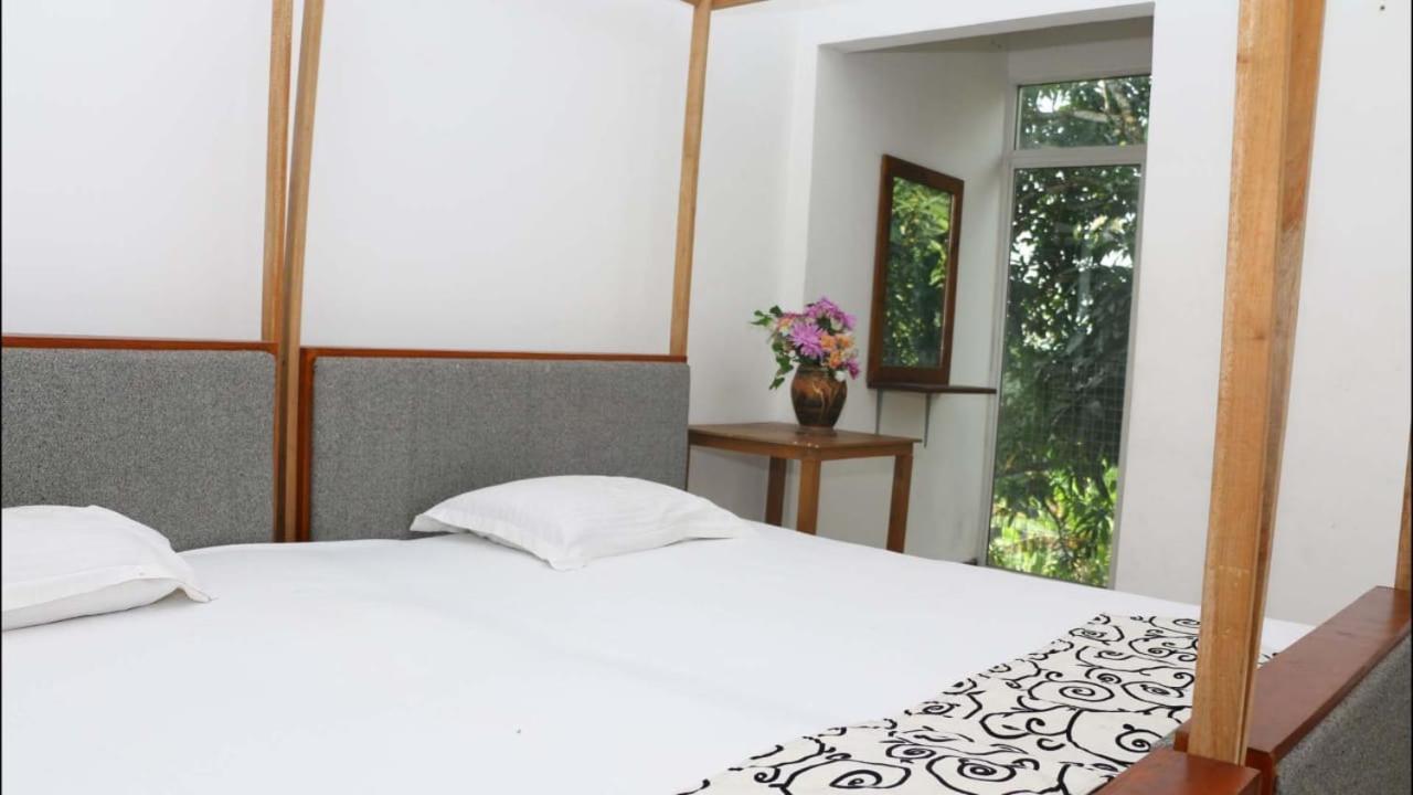 Suisse Villa Kandy Exteriér fotografie